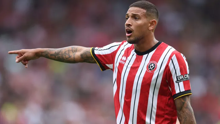 Vinicius Souza of Sheffield United gestures during the Sky Bet Championship match between Sheffield United FC and Watford FC at Bramall Lane on September 01, 2024 in Sheffield, England.