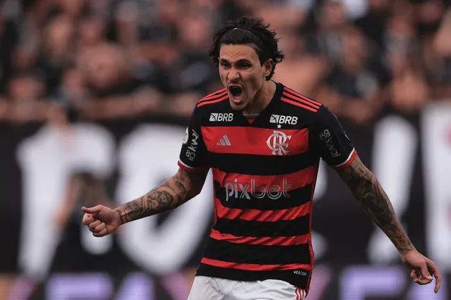 Pedro jogador do Flamengo comemora seu gol durante partida contra o Corinthians na Arena Corinthians pelo campeonato Brasileiro A 2024. Foto: Ettore Chiereguini/AGIF