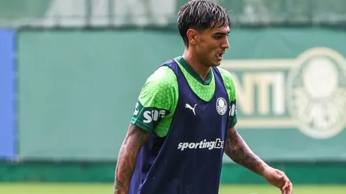 (Foto: Fábio Menotti/ Palmeiras)