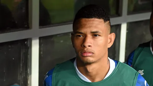 Diego Rosa