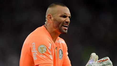 Weverton em partida pelo Palmeiras. Foto: Thiago Ribeiro/AGIF