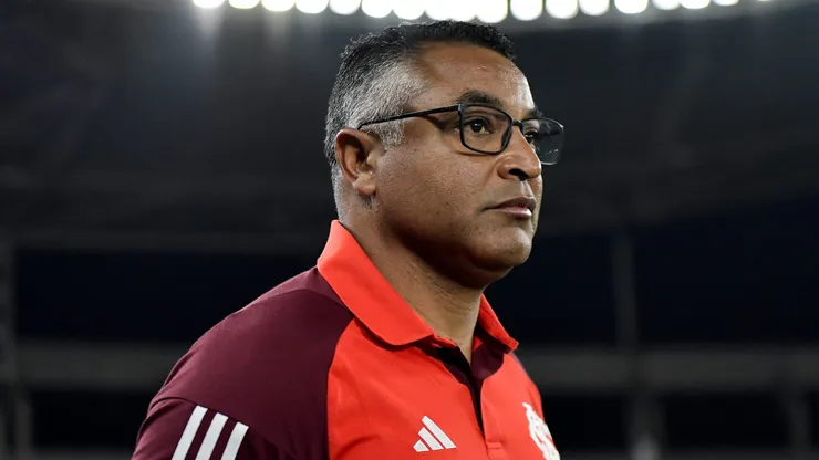 Roger Machado durante confronto entre Botafogo e Internacional no Brasileirão de 2024.