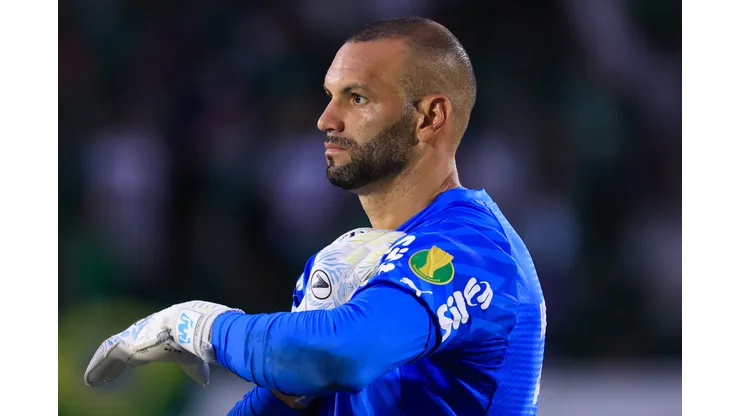 Weverton goleiro do Palmeiras