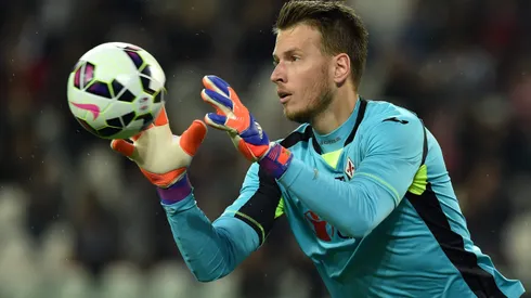 Norberto Murara Neto of ACF Fiorentina in action during the Serie A match between Juventus FC and ACF Fiorentina at Juventus Arena on April 29, 2015 in Turin, Italy.