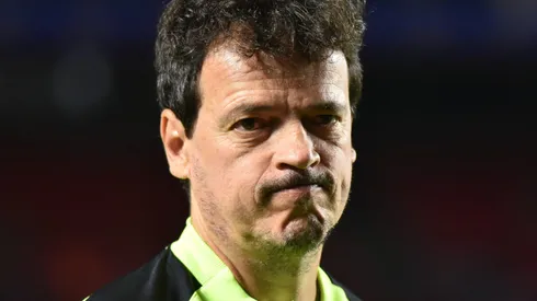 Fernando Diniz tecnico do Vasco