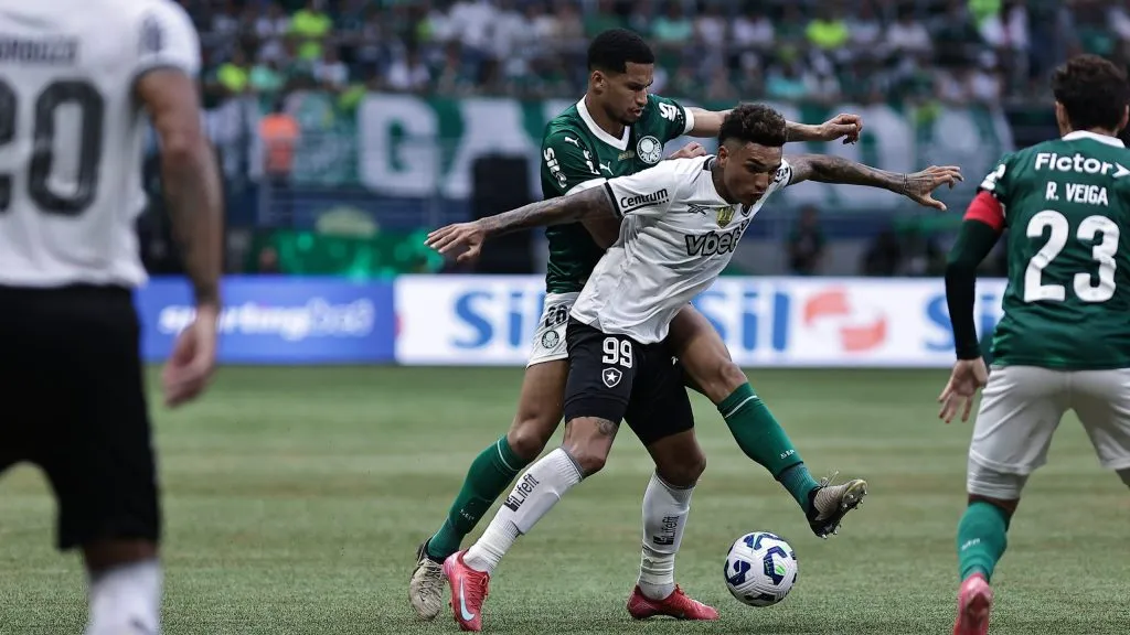 Palmeiras x Botafogo.   Foto: Fabio Giannelli/AGIF