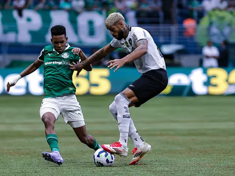 Botafogo chega com mais moral após partida ruim do Palmeiras