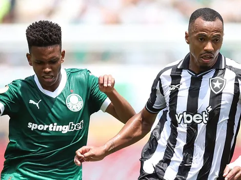 Palmeiras x Botafogo AO VIVO - Partida em tempo real pelo Mundial de Clubes 2025