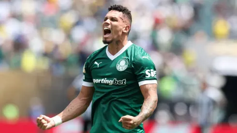 Paulinho. Foto: Cesar Greco/Palmeiras