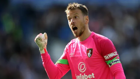 BRIGHTON, ENGLAND – SEPTEMBER 24: Neto of AFC Bournemouth celebrates after teammate Dominic Solanke scores the team's first goal during the Premier League match between Brighton & Hove Albion and AFC Bournemouth at American Express Community Stadium on September 24, 2023 in Brighton, England. (Photo by Steve Bardens/Getty Images)