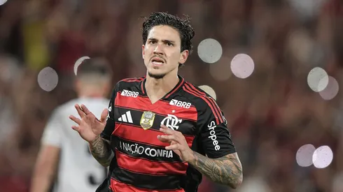 Pedro jogador do Flamengo comemora seu gol durante partida contra o Vitoria no estádio Maracanã pelo campeonato Brasileiro A 2025. Foto: Thiago Ribeiro/AGIF