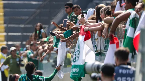 Palmeiras libera ingressos gratuitos para jogo da Copa do Brasil Feminina (Foto: Fabio Menotti/Palmeiras/Flickr)