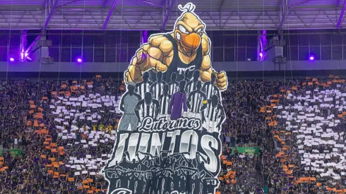 Torcida do Ceara durante partida contra Sao Paulo no estadio Arena Castelao pelo campeonato Brasileiro A 2025. Foto: Lucas Emanuel/AGIF