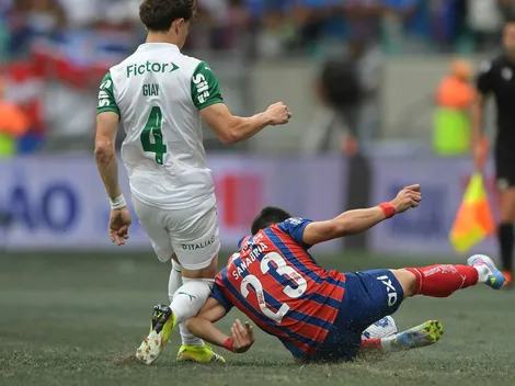 Palmeiras perde para o Bahia por erro defensivo