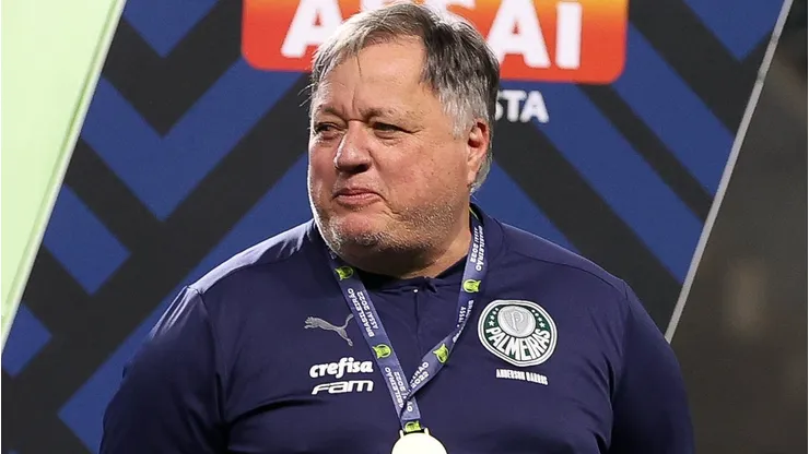 Foto: Cesar Greco/Palmeiras/by Canon - Anderson Barros, diretor do Palmeiras.
