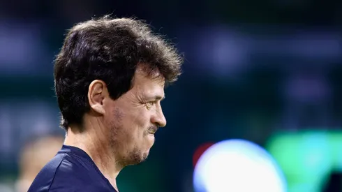 Fernando Diniz, técnico do Vasco