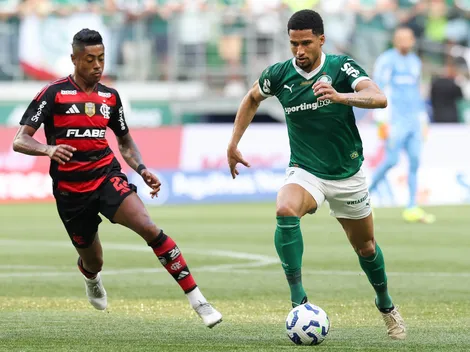 Flamengo x Palmeiras: Veja números e saiba quem deve vencer o duelo