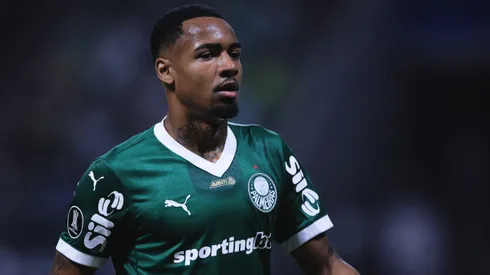 Allan em ação pelo Palmeiras no Brasileiro