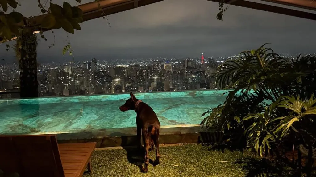 Suíte de Memphis Depay. Foto: Reprodução Instagram