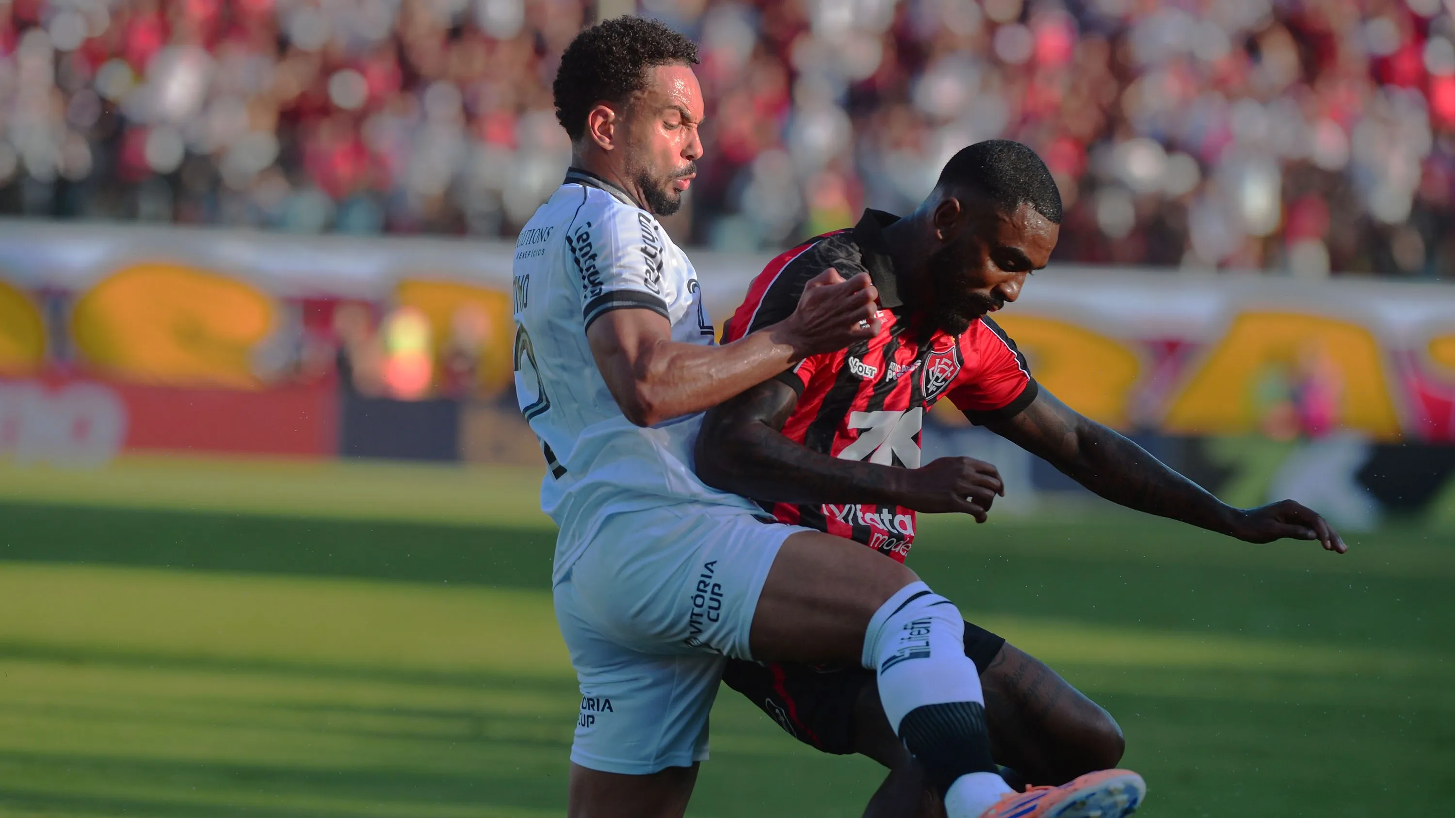 Vitinho durante Vitória x Botafogo. Foto: Walmir Cirne/AGIF
