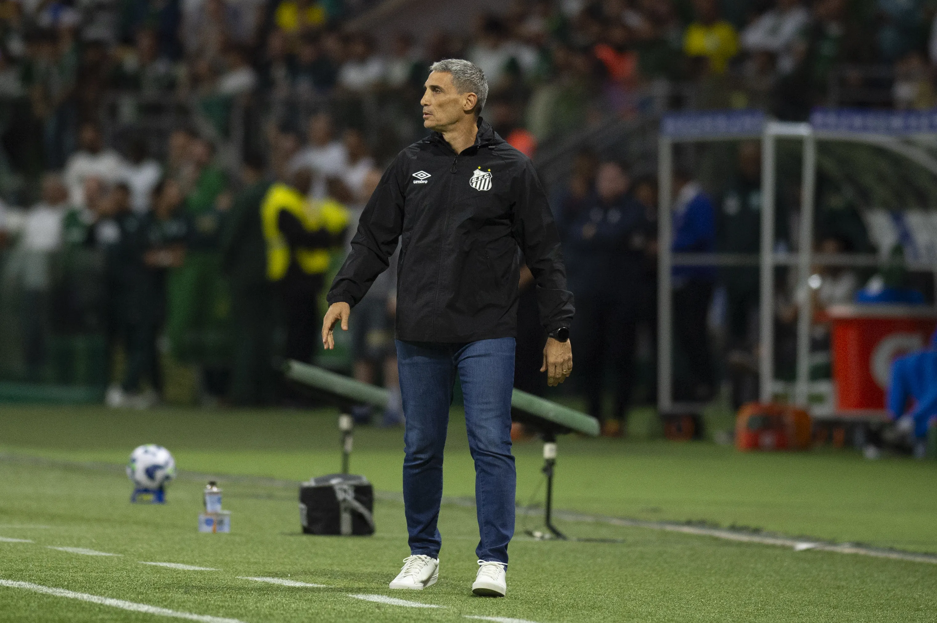 Vojvoda técnico do Santos durante partida contra o Palmeiras na Arena Allianz Parque pelo campeonato Brasileiro A 2025. Foto: Anderson Romao/AGIF