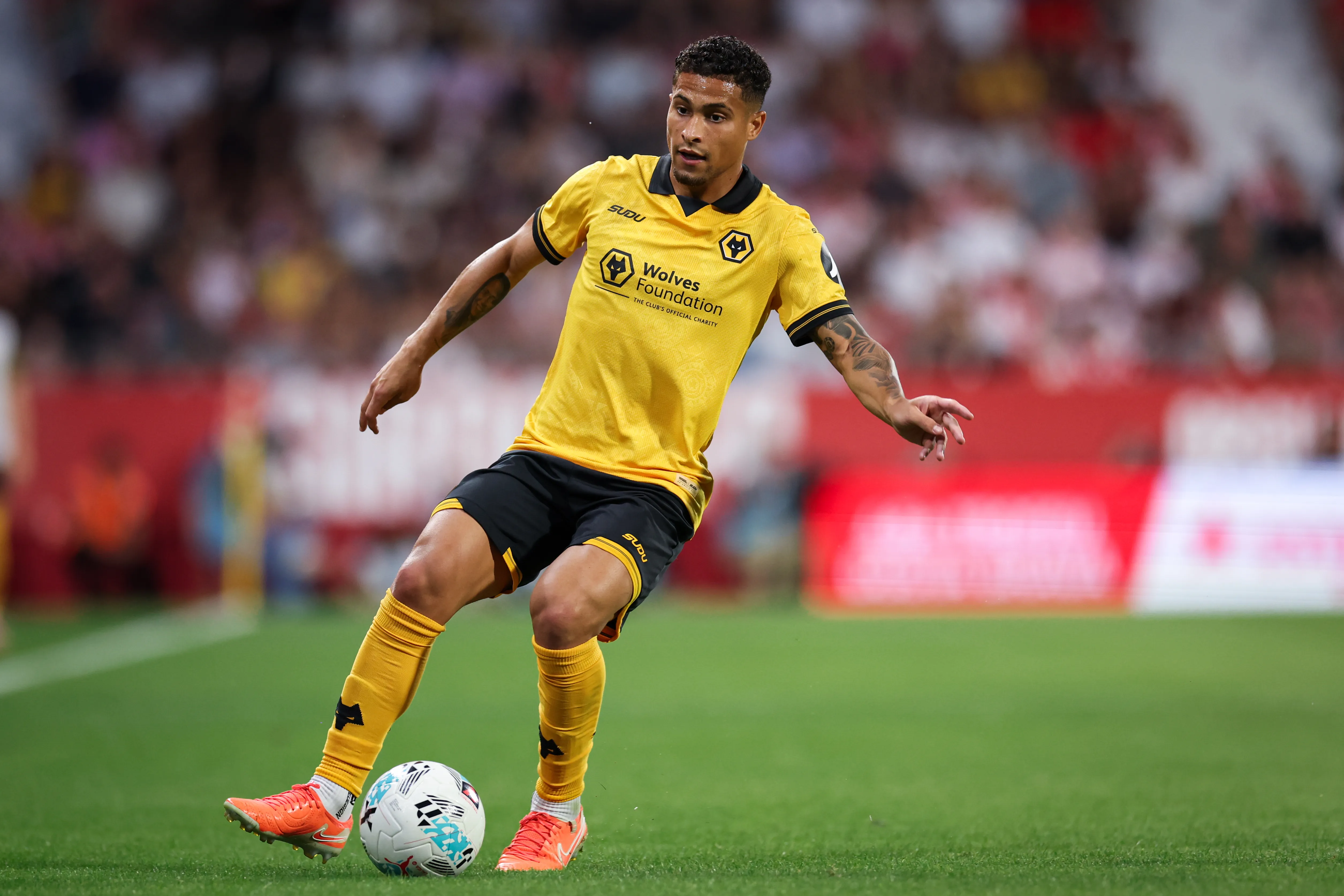 João Gomes atuando no Wolverhampton em 2025 – (Photo by Judit Cartiel/Getty Images)