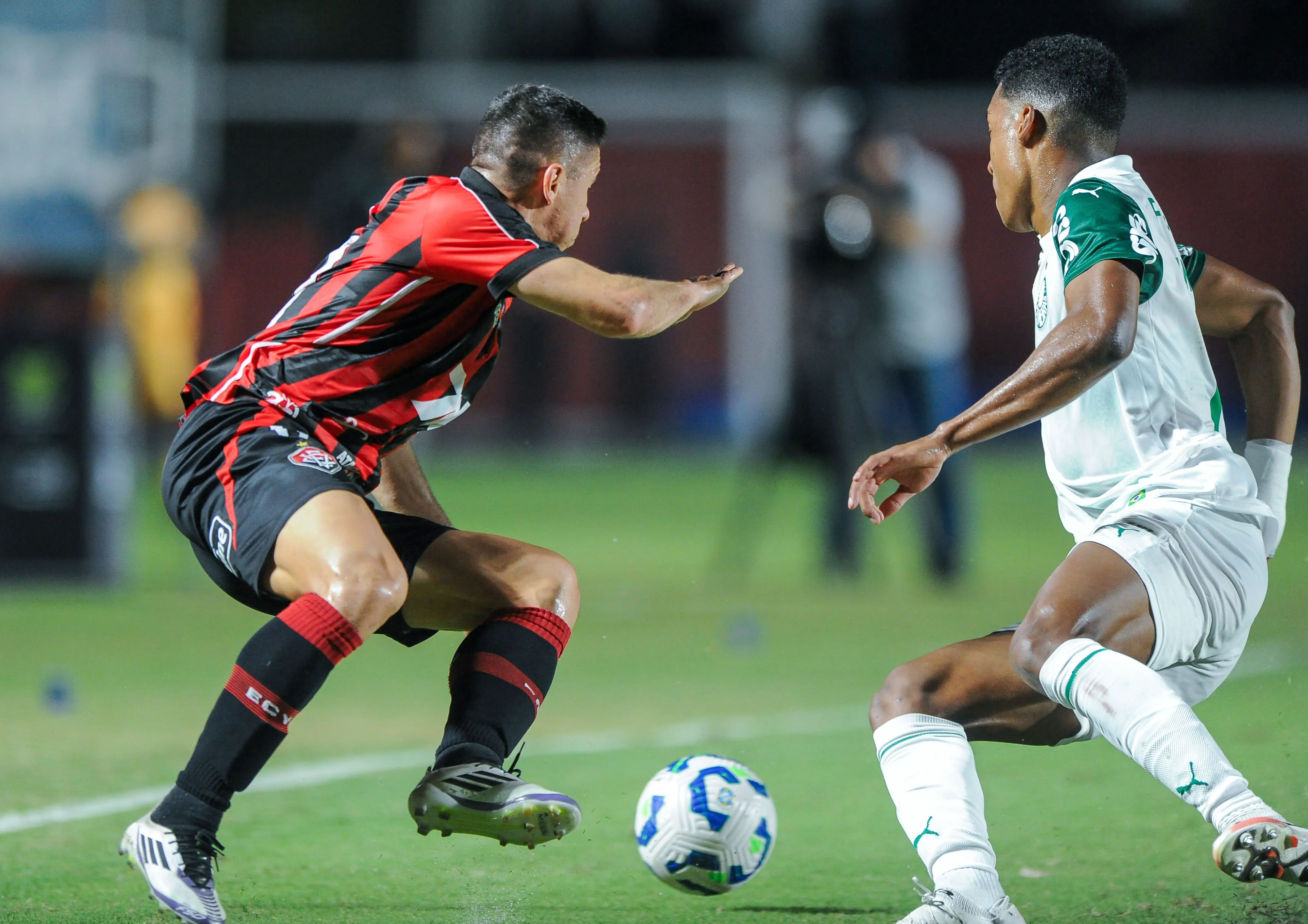 Vidente crê em triunfo palmeirense – Foto: Jhony Pinho/AGIF.