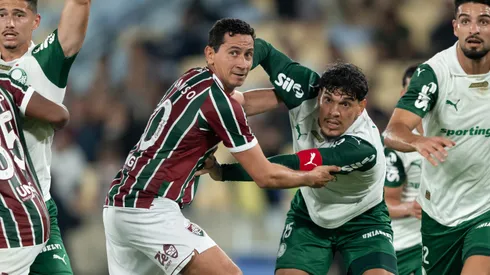 Palmeiras x Fluminense. Foto: Jorge Rodrigues/AGIF