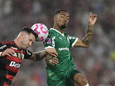 Gato prevê campeão de Palmeiras x Flamengo na Libertadores