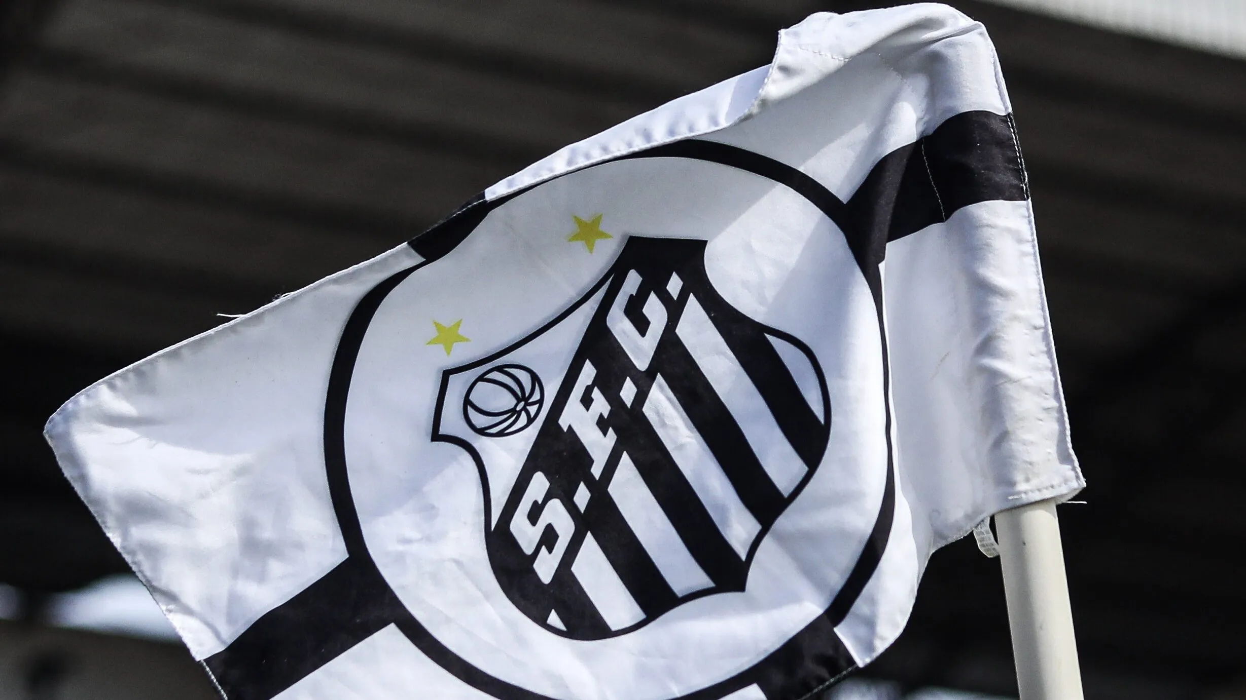 Bandeira do Santos. Foto: Reinaldo Campos/ Santos F.C.