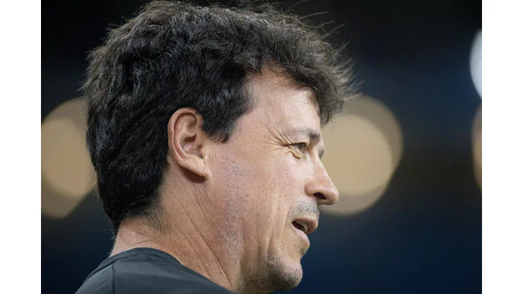 Fernando Diniz, técnico do Vasco