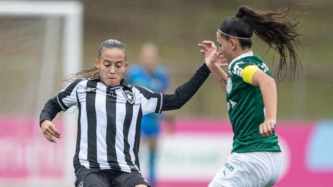 Botafogo não pedende só dele para se classificar para a próxima fase – Foto: Jhony Inácio/Ag. Paulistão