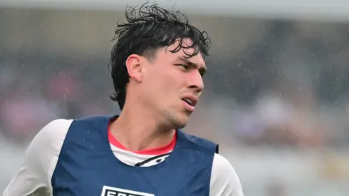 Botafogo quer contratar Ferraresi.