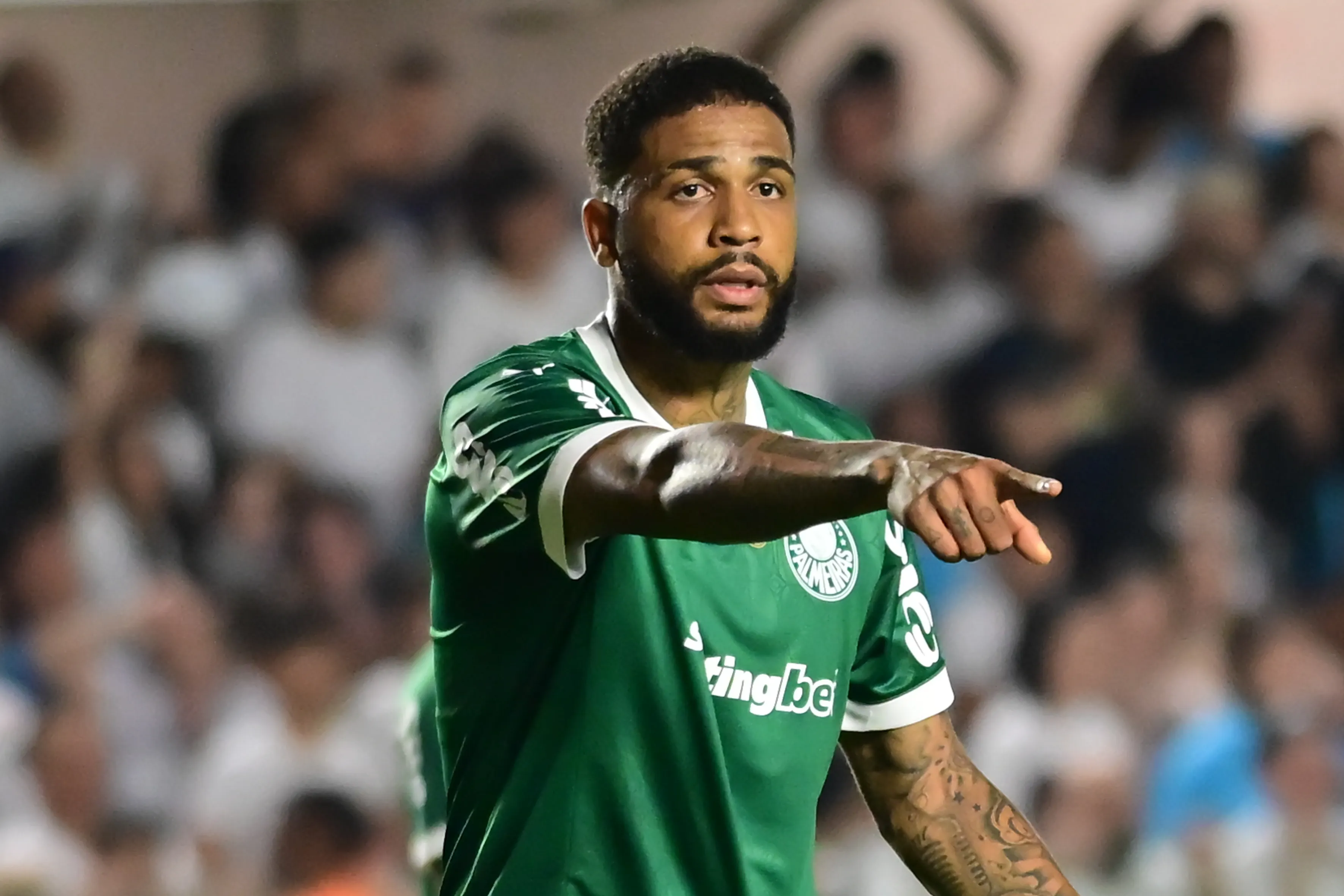 Micael durante partida entre Palmeiras e Santos no Campeonato Brasileiro de 2025. Foto: Jota Erre/AGIF