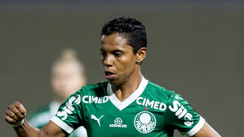 Soll pelo Palmeiras (