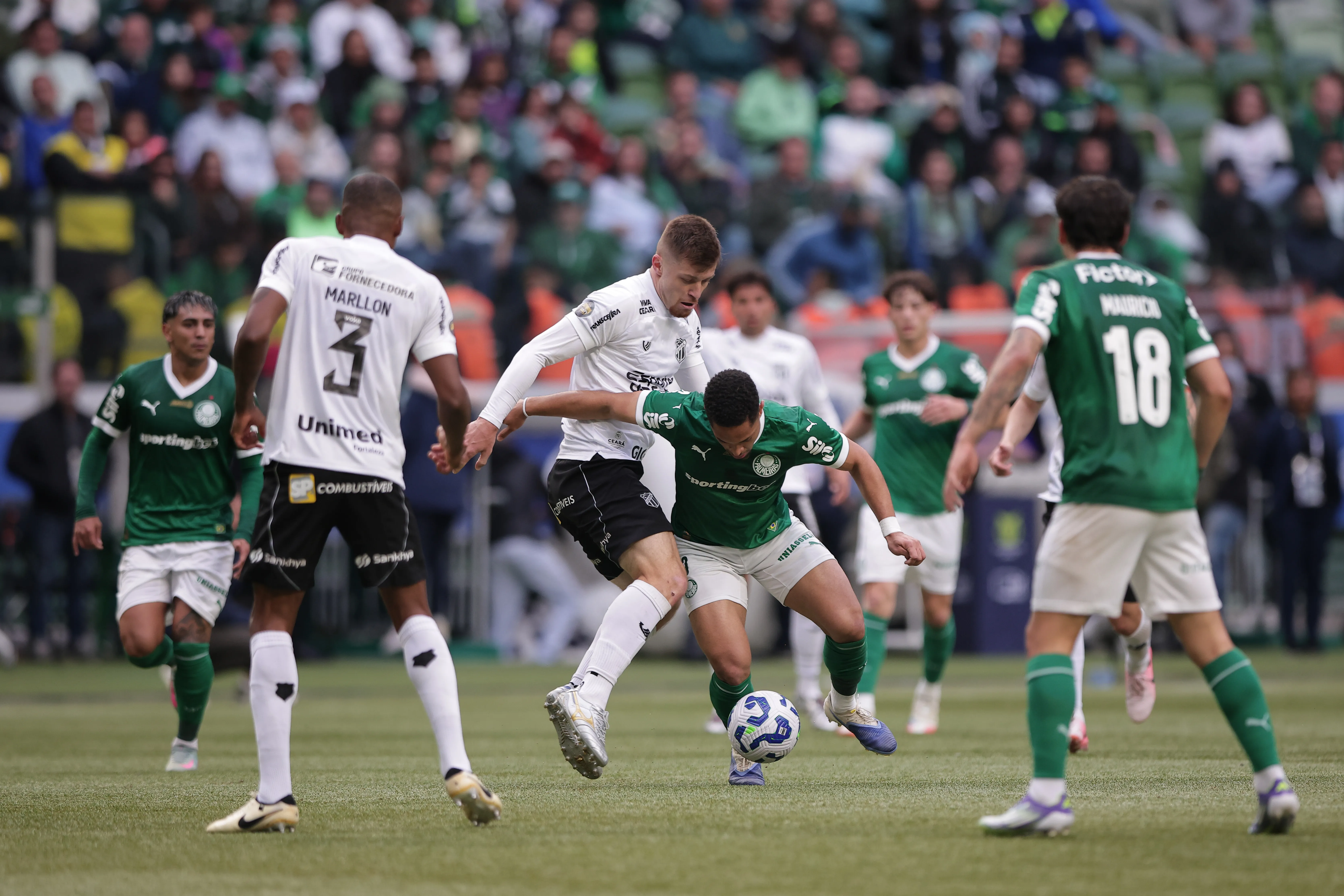 Willian Machado em Palmeiras x Ceará pelo Brasileirão 2025. Foto: Ettore Chiereguini/AGIF