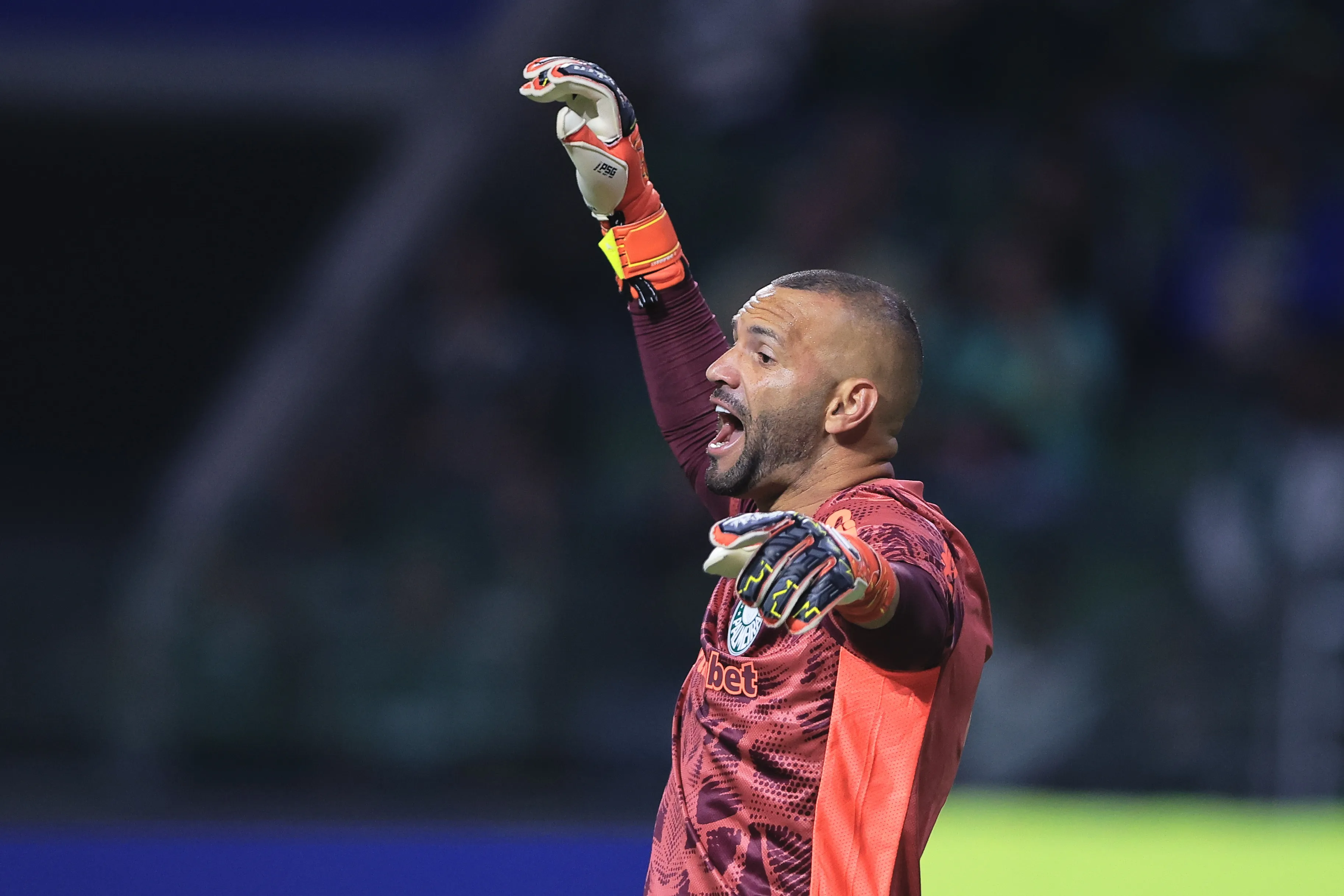 Weverton goleiro do Palmeiras durante partida contra o Gremio no estadio Arena Allianz Parque pelo campeonato Brasileiro A 2025. Foto: Ettore Chiereguini/AGIF