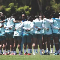 Sem reforços, Cruzeiro volta aos treinos após período de férias