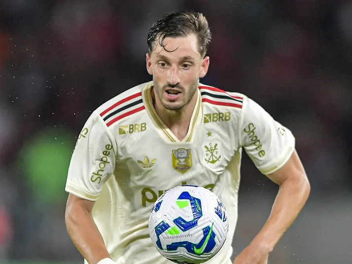 Viña desabafa sobre saída do Flamengo