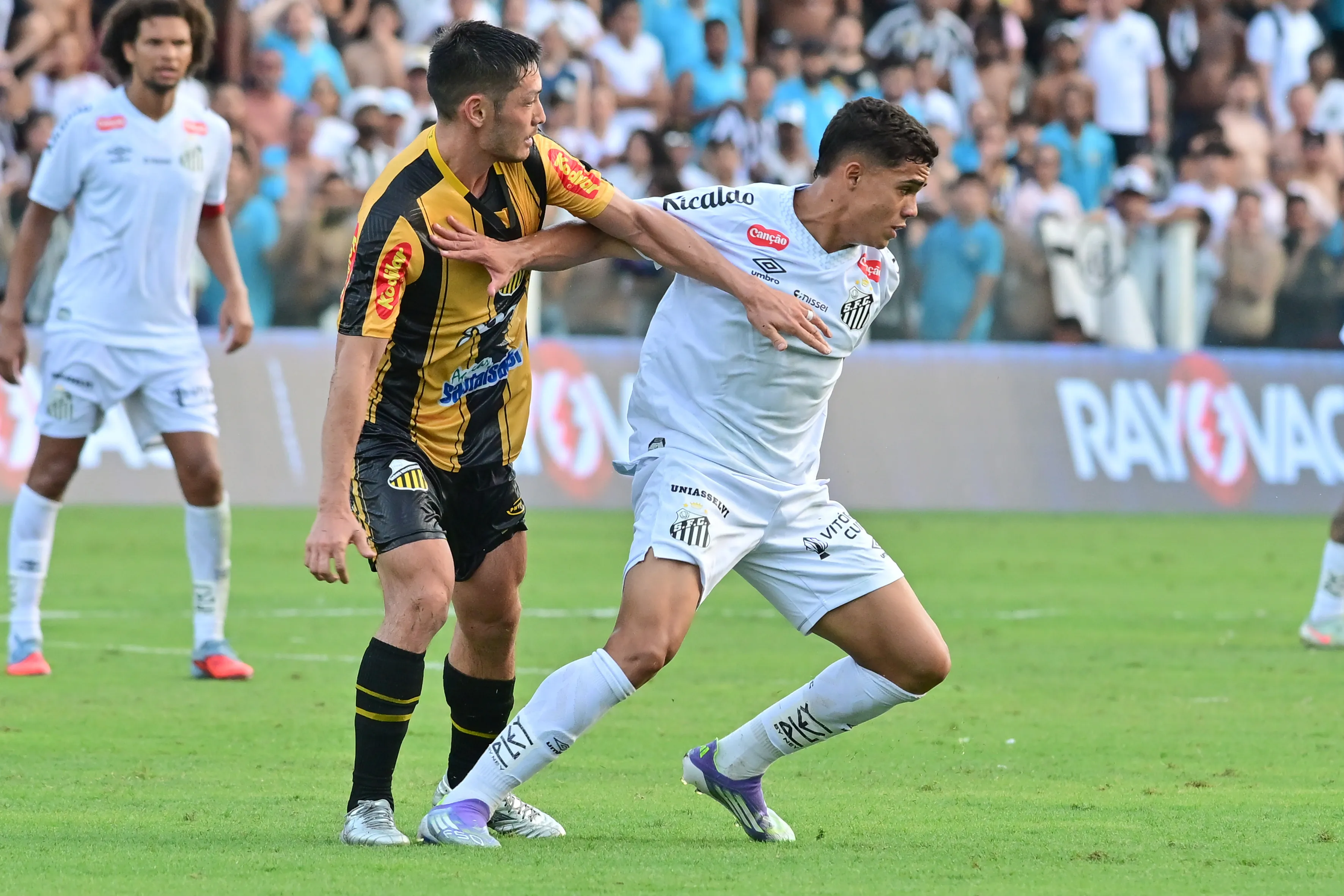 Gustavo Henrique, jogador do Santos, durante partida contra o Novorizontino – Foto: Jota Erre/AGIF