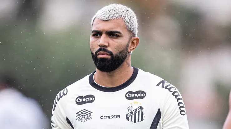 Gabigol em campo pelo Peixe. Foto: Raul Baretta/ Santos FC