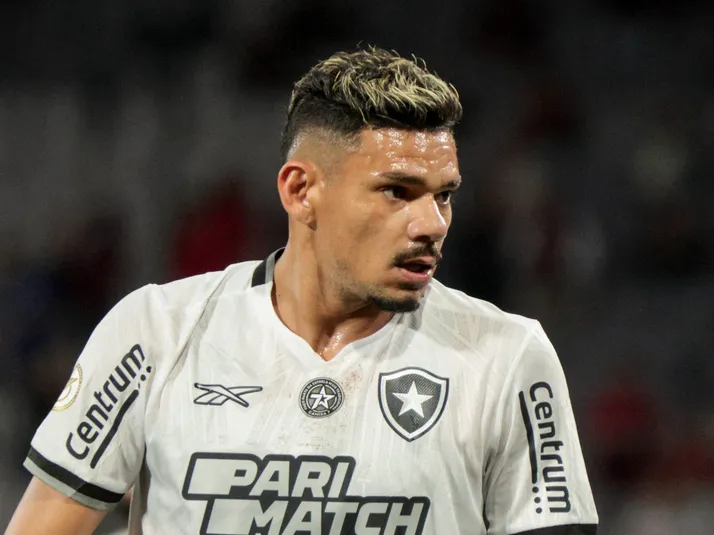 Ex-Botafogo, Tiquinho Soares acerta com o Mirassol