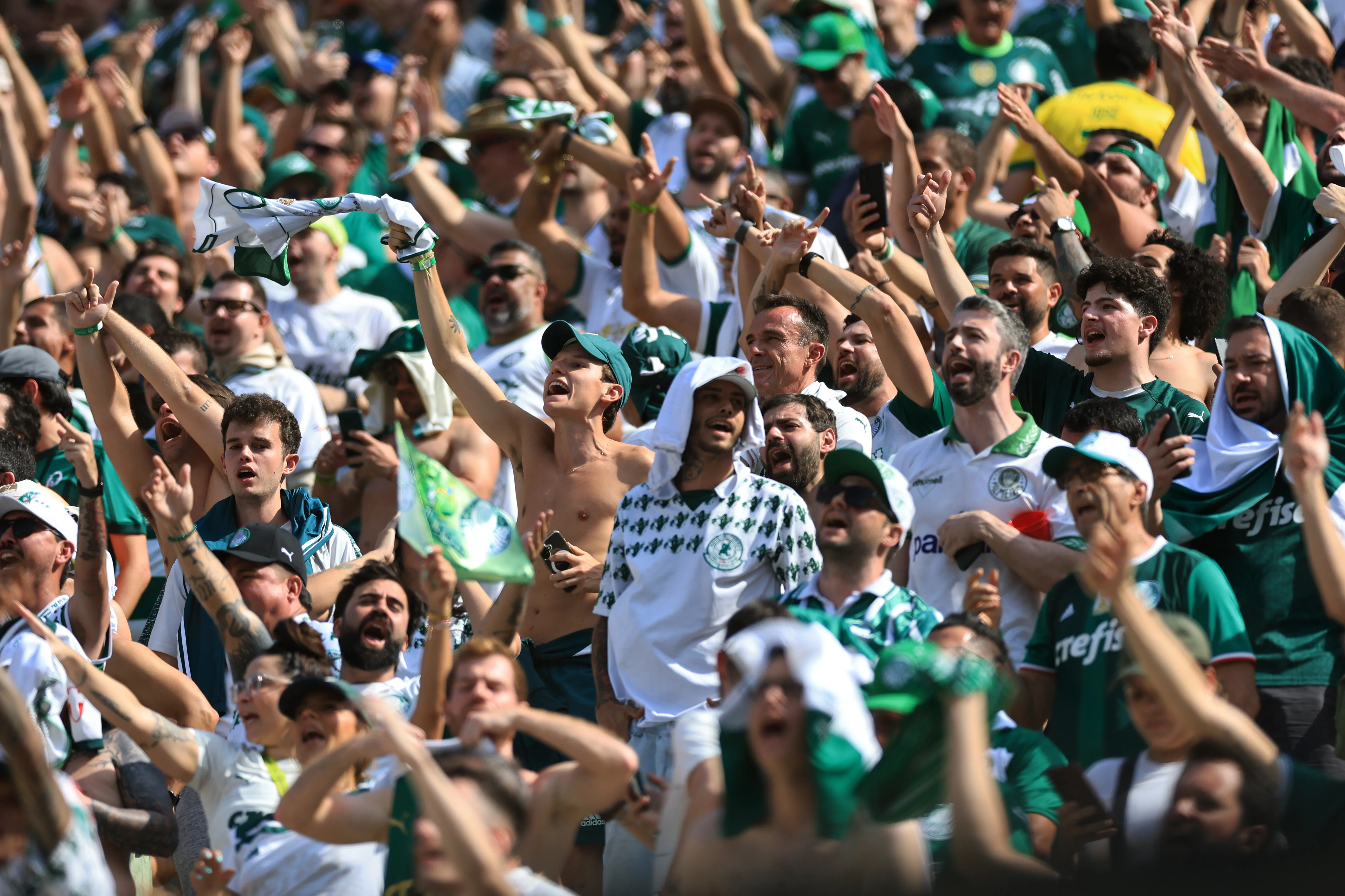 Torcida do Verdão na Copa Libertadores da América. (Photo by Buda Mendes/Getty Images)