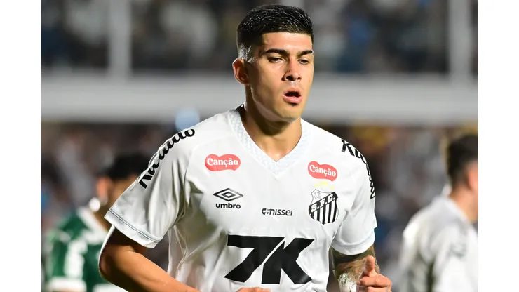SP - SANTOS - 15/11/2025 - BRASILEIRO A 2025, SANTOS X PALMEIRAS - Adonis Frias jogador do Santos durante partida contra o Palmeiras no estadio Vila Belmiro pelo campeonato Brasileiro A 2025. Foto: Jota Erre/AGIF