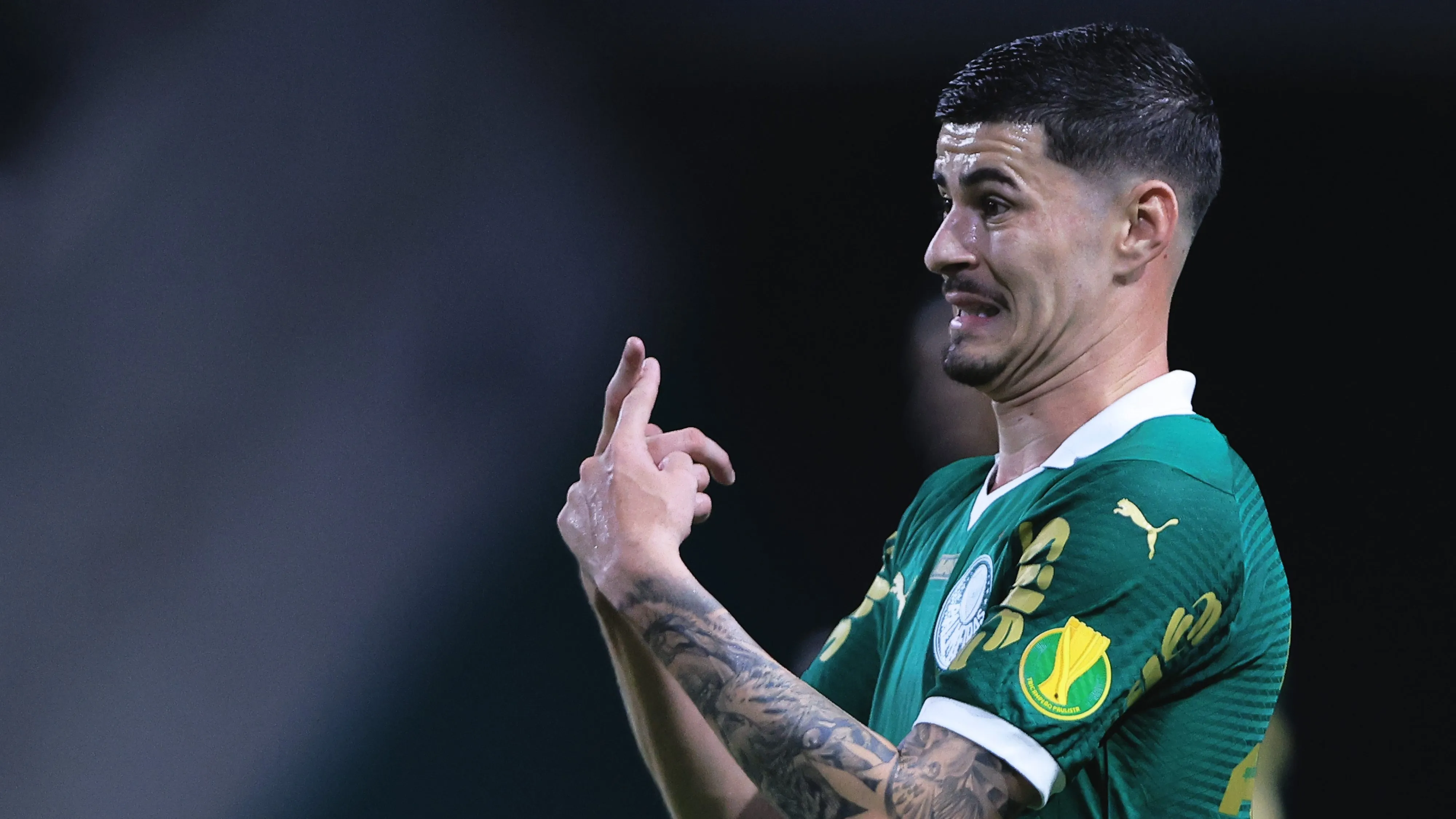 Rômulo em campo pelo Palmeiras. Foto: Ettore Chiereguini/AGIF