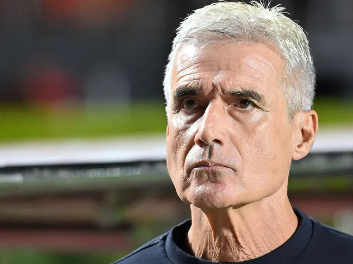 Leitura tática de Luís Castro garante vitória no Gre-Nal