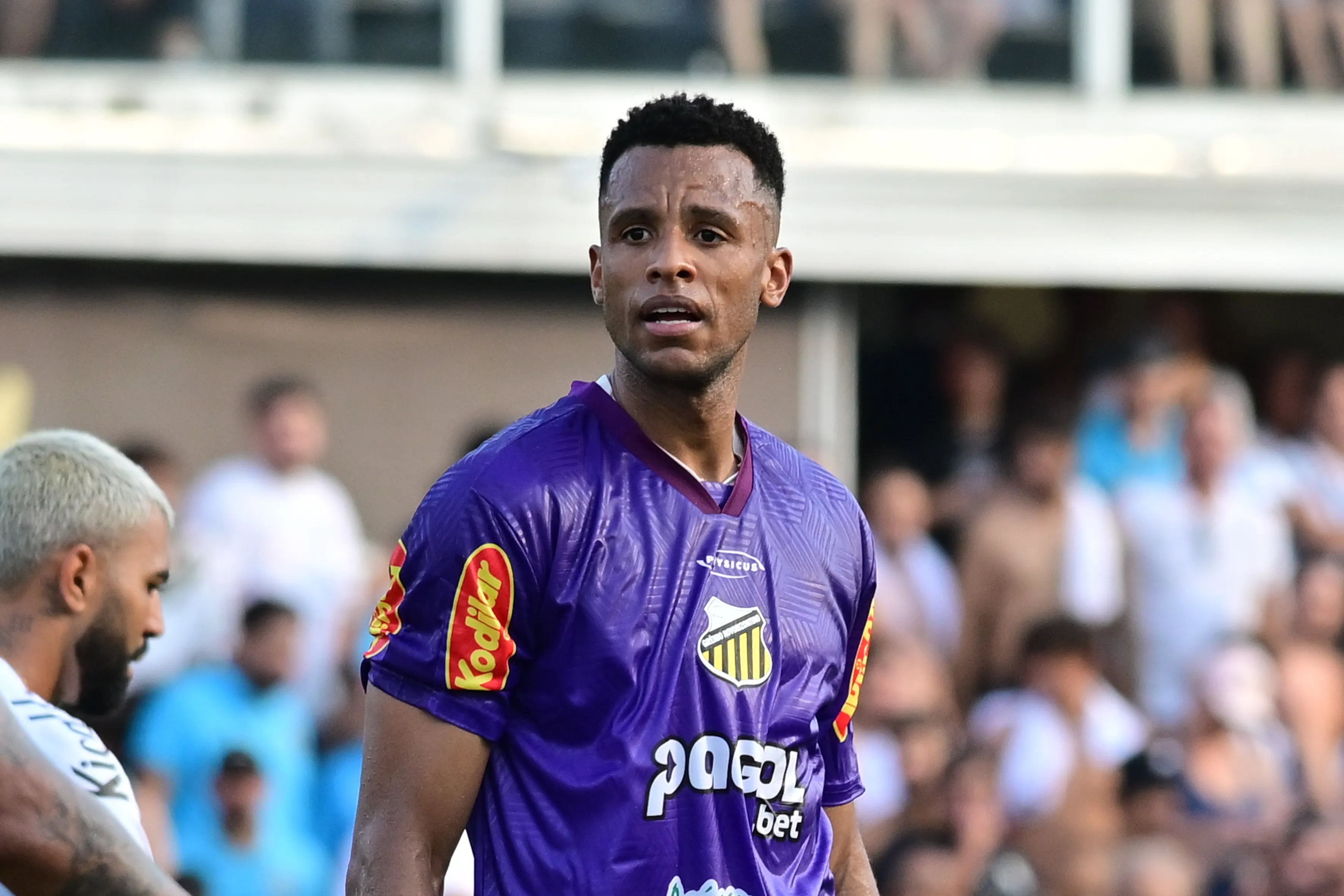 Corinthians também avalia o goleiro Jordi, destaque do Novorizontino. Foto: Jota Erre/AGIF