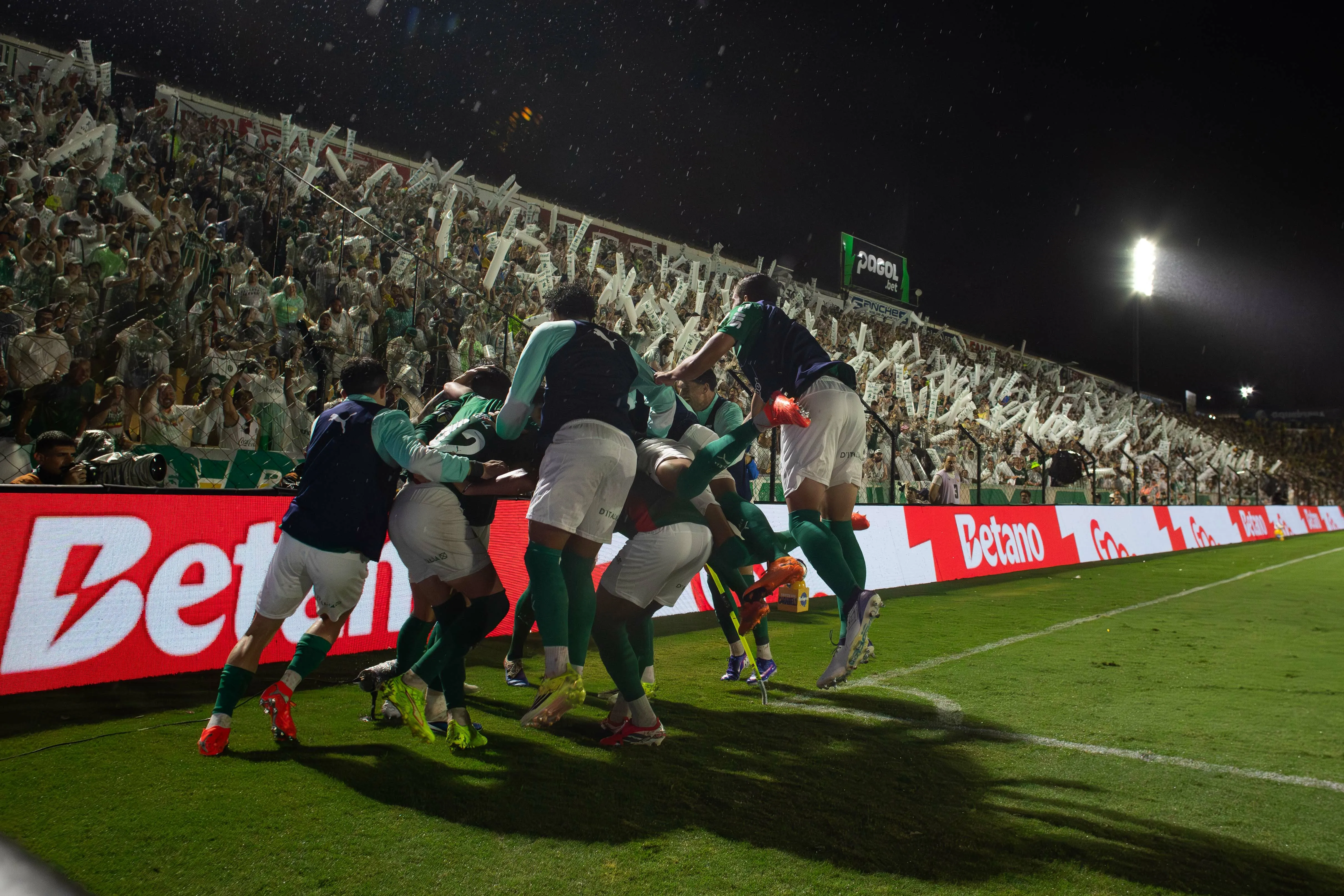 jogador do Palmeiras comemora seu gol com jogadores do seu time durante partida contra o Novorizontino no estadio Jorge Ismael de Biasi pelo campeonato Paulista 2026. Foto: Joisel Amaral/AGIF