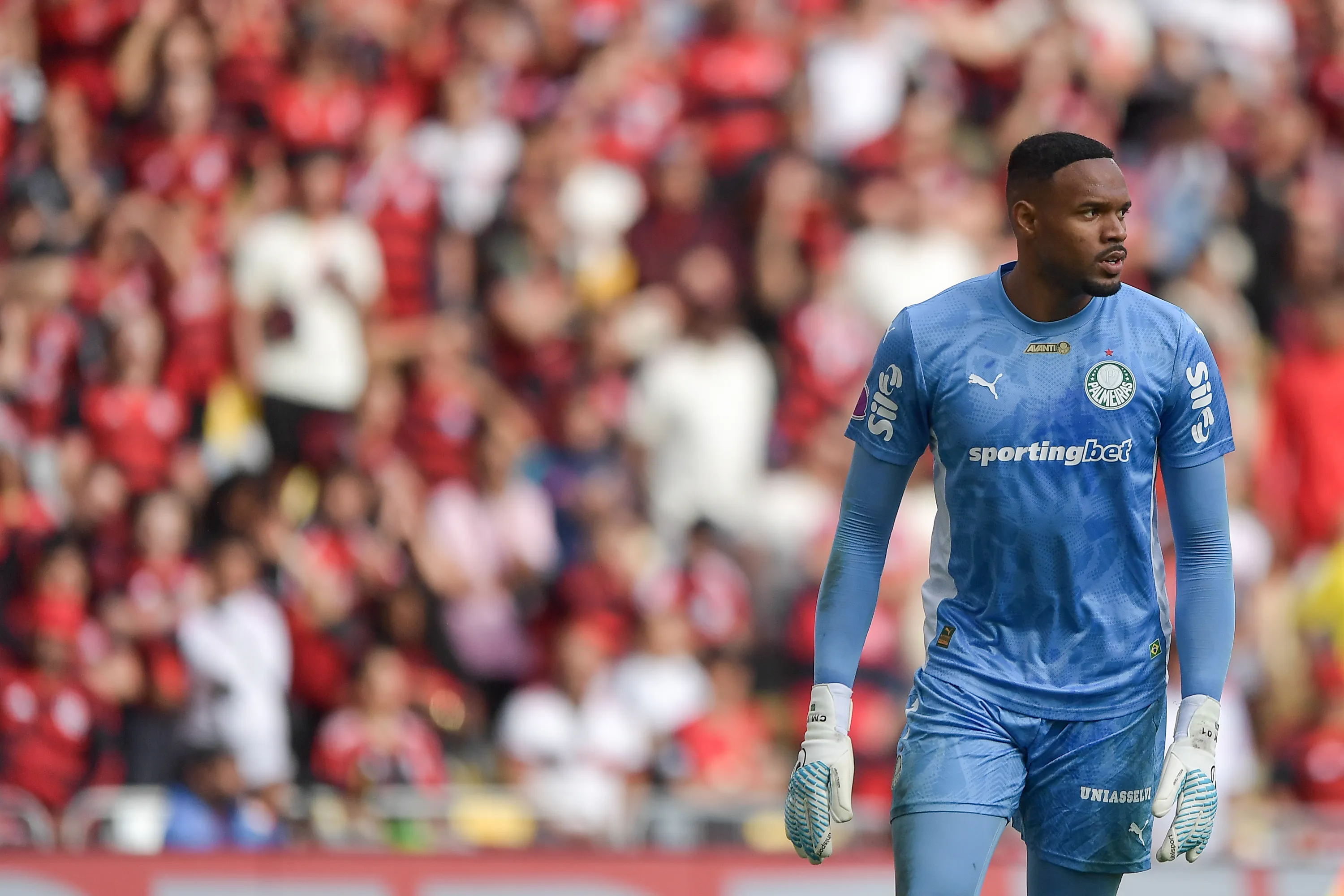 Carlos Miguel goleiro do Palmeiras durante partida contra o Flamengo no estadio Maracana pelo campeonato Brasileiro A 2025. Foto: Thiago Ribeiro/AGIF