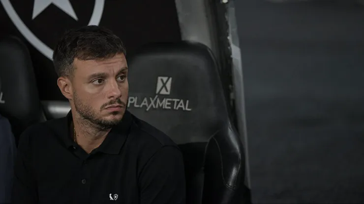 Anselmi deve continuar no Botafogo